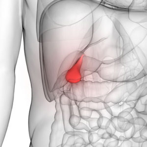Gallbladder scan